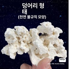 셀렉트하루 데드락 어항 장식 산호, 프리미엄 블록, 1개, 기본 색상