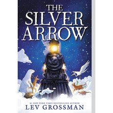 (영문도서) The Silver Arrow Paperback, Little, Brown Books for You..., English, 9780316539548