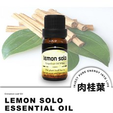 ONE HOUSE 好室家 10ML大地系植物精油_任選29種植物精油，消臭芳香，適用於車內、居家、辦公室，有效防潮防臭, 1個, 肉桂葉, 肉桂葉