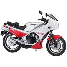 하세가와 1/12 카와사키 KR250 (KR250A) 화이트/레드 컬러 플라모델 21745