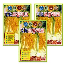 [팜앤리빙] CR로얄리코 배추씨앗 100립 김장 황금배추 씨앗 씨 종자, 3개