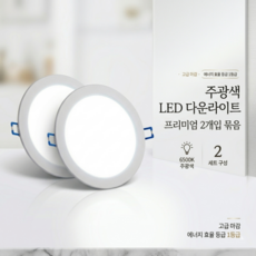 이엘라이팅 20W LED 다운라이트 방습 욕실 매립 매입등 175mm, 주광색, 2개