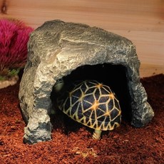 육지 거북이 은신처 파충류 쉼터