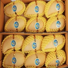 항공직송 고당도 남독마이 태국 골드망고 5kg(14~16과), 1개