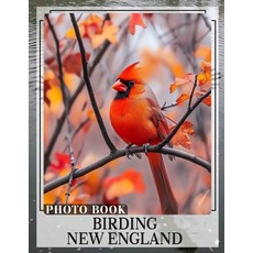 (영문도서) Birding New England Photo Book: Explore New England's Avian Life Through 40 Stu... Paperback, Independently Published, English, 9798303240407