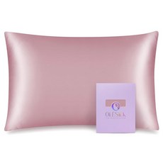 OLESILK 용 100% 멀베리 실크 베개 좋고 야간 지퍼가 아이보리 있는 부드러우며 33 45.7CM(1 커버 (1팩 X 커버 방 숨겨진 수면 여행용 통기성이, 1pc Toddler 13'' x 18'', 라이트 플럼