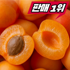 [재구매율1위] 초특가 국내산 제철 살구, 1박스, 1kg