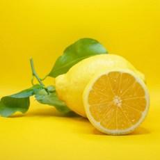 라라로코 미국산 프리미엄 팬시레몬, 20개, 중소과 100g 내외