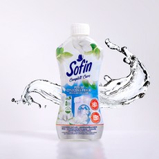 독일 도맥스 소핀 세탁조 클리너 300ml 1+1, 2개, 300L