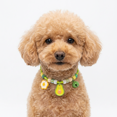 하니펫 강아지 고양이 예쁜 큐티 방울 목걸이, 1개, 아보카도