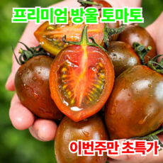 [부산대저직송] 흑대추방울토마토 블랙토마토 흑토마토, 1개, 500g
