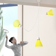 스포츠 셔틀콕 리바운드 프로페셔널