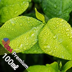 C028 블랙베리 앤 베이 100ml (Blackberry & Bay) 프래그런스오일 캔들 디퓨저 향수, 1개