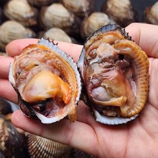 국내산 피조개 피꼬막, 1박스, 3kg