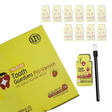 불소도포 불소바니쉬 어린이 성인 반려동물 치아재광화촉진제, 10개, 5ml