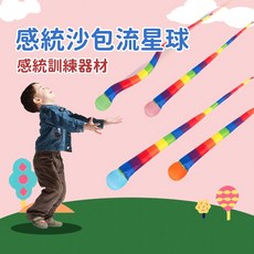 感統沙包流星球 兒童體適能拋接訓練球, 1個, 95公分, F
