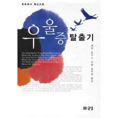 우울증 탈출기:혼돈에서 확신으로, 글샘