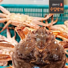 장식통관 수입빵게 암컷대게 활 대개 자숙대게 5~7마리 수율80%이상, 1개, 1kg