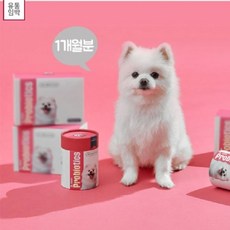 마이펫푸 강아지전용 소화효소 유산균 (소비기한임박할인 26년3월7일), 1개, 소화+장건강, 30회분