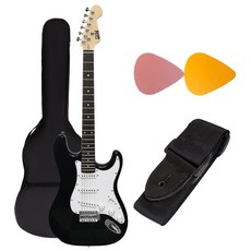 닥터뮤즈 일렉기타 입문 악기 연습 용 세트, 블랙 + 화이트, 1개