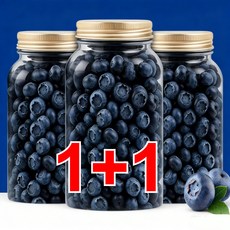 1+1 무설탕 건블루베리 100% 프리미엄 블루베리 건조과일 건조 블루베리 100% 국산 말린 블루베리 무설탕, 2단지