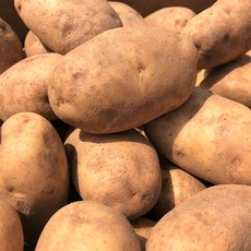 포근포슬 러셋 감자 russet 웨지 포테이토 미국, 1박스, 3kg