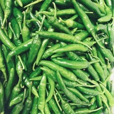 아삭아삭 고추 맵싸한 국내산 청양고추 500g 1kg 10kg, 청양고추500g, 1개