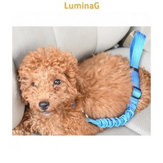 강아지 안전벨트 차량용 고양이 자동차 이동줄 애완동물 조절가능, 1개, 1반려견밸트-블루