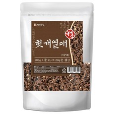 건강중심 국산 헛개열매 지구자 500g 헛개나무 열매, 1개
