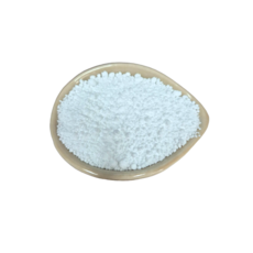 선인 장식 이소말트 이소말트 엠, 100g, 1개