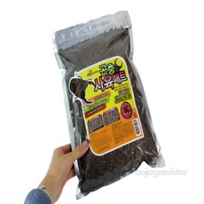 보조개자매 장수풍뎅이 톱밥 풍뎅이집만들기