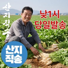 더맛곳간 국내산 알타리무 알타리무우 국산 총각무 총각무우 달랑무, 1개, 10kg 내외 (5단)