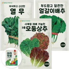 농우바이오 엇갈이배추 열무 3종혼합상추 채소씨앗 3종, 1개