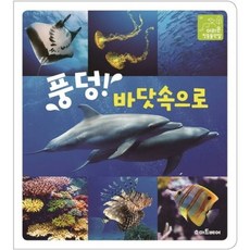 풍덩! 바닷속으로 (이리온 첫동물관찰 7), 없음
