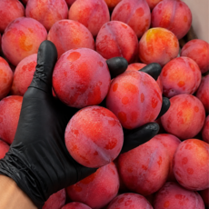 16brix 당도선별 후무사 왕자두 도담자두, 1개, 2kg (특대과)