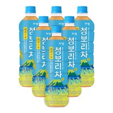 쟈뎅 제주의 봄 청보리차 500ml 6입, 1세트