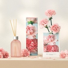 [모던하우스]감성 꽃보다어여쁜 디퓨져 200ml_AR0324020, 1개, 200ml
