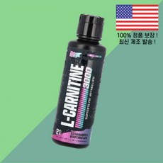 뉴트렉스 리서치 카르니틴 L카르니틴 엘카르니틴 카르티닌 아미노산 3000 딸기 스트로베리 수박 워터멜론 15.72 플로온스 465ml Nutrex Research L Carni