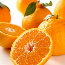 한정수량 해피팜제주 농장직송 고당도 한라봉, 1박스, 가정용 3kg