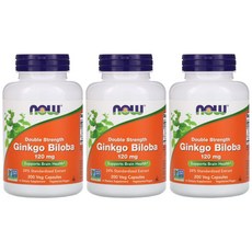 [2+1] Now Foods 나우푸드 징코빌로바 120 mg 200정 은행나무 추출물 더블 스트렝스 3개