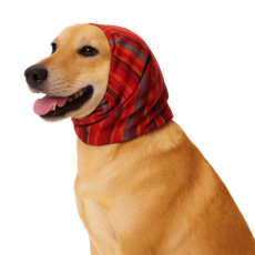 寵物頭巾 可愛條紋印花寵物頭飾, 紅, 1個