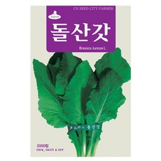돌산갓씨앗 갓씨 2000립, 4개