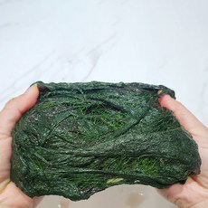 알담 완도 참 매생이(3재기)1.05kg 내외 햇매생이 해조류 해초, 1.05kg, 1개