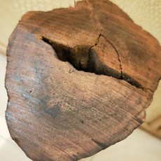 進寶 蘇門答臘頂級降真木，直徑超過10公分，稀有珍品，原木擺件，收藏級別
