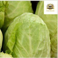 국내산 양배추 특 1통 (3kg 내외), 1개, 3kg