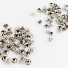 쇠단추 인체골격모형