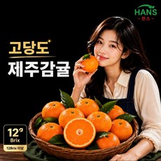 햇 제주감귤 하우스감귤 12brix이상 고당도귤 제주직송 한스, 1개, 2kg로얄과(L)