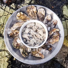 [산지직송_통영] 싱싱함이 가득 국내산 통영 생굴 1kg(70미 내외), 1개