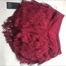 超值 新款拉丁舞裙練功服裝女成年人半身裙流蘇裙下裝比賽舞蹈演出服 副廠商品
