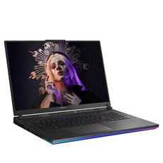 에이수스 2024 ROG 스트릭스 G18 코어i9 인텔 14세대 지포스 RTX 4060, Eclipse Gray, 4TB, 64GB, WIN11 Home, G814JVR-N6052